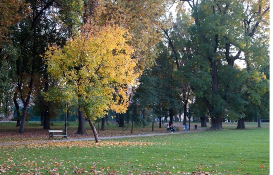 Weisz Apartment-City Center-Free Private Parking,Wifi,Ac Карей Экстерьер фото